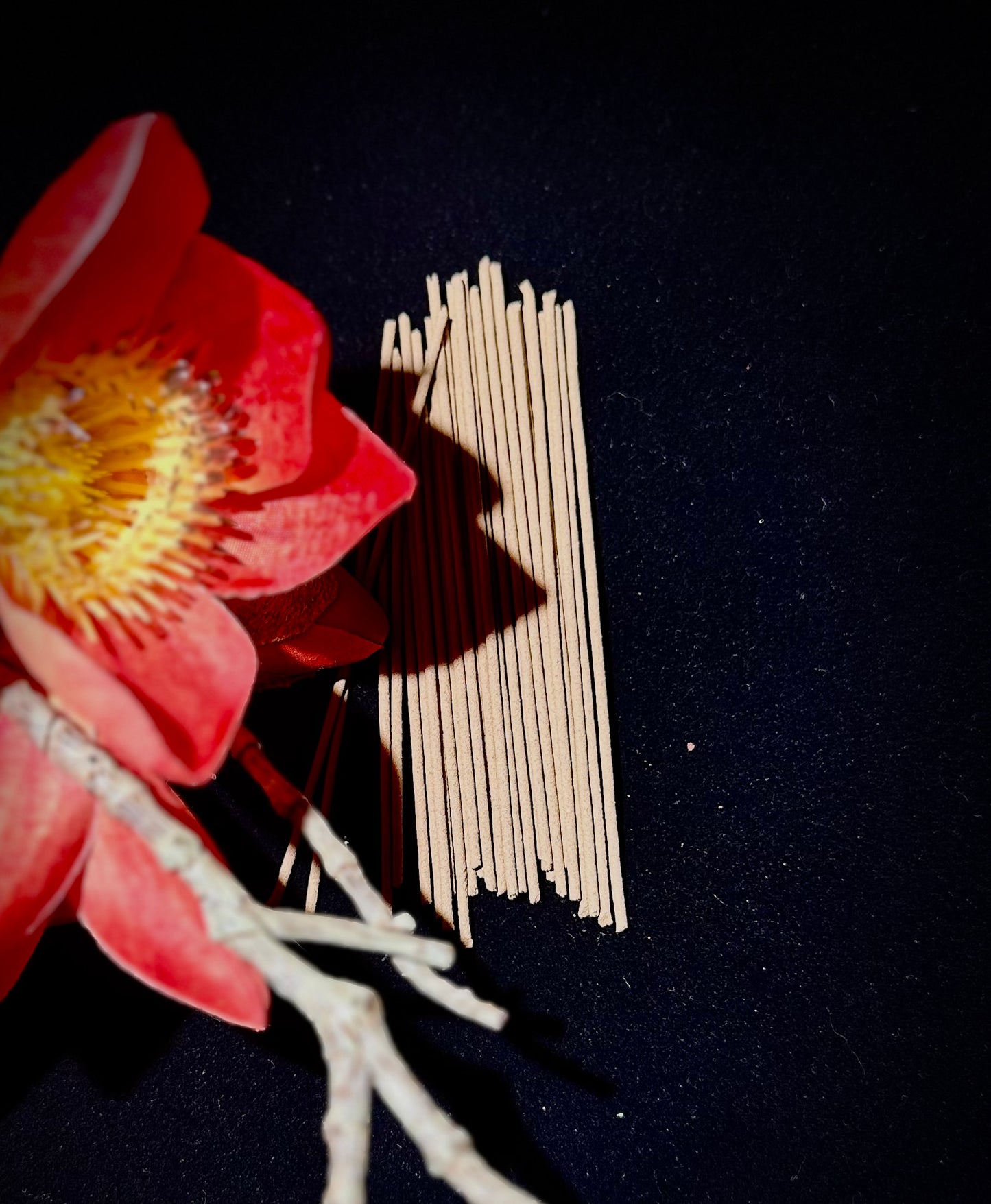 Handcrafted Ebony Incense Box – Luxury Gift Set, Travel & Home Aromatherapy